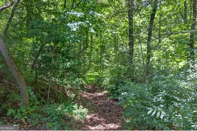 1965 Highway 52 E, Ellijay, GA 30536 - Photo 41