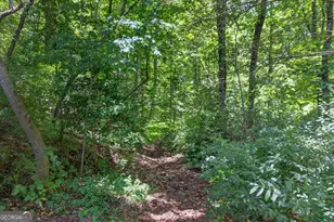 1965 Hwy 52 E, Ellijay, GA 30536 - Photo 41