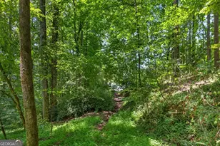 1965 Hwy 52 E, Ellijay, GA 30536 - Photo 45