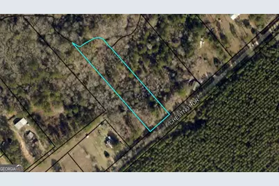 0 Chestnut Drive, Eastman, GA 31023 - Photo 3
