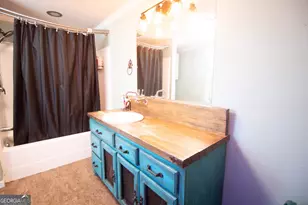 215 Brown Springs Rd, Milner, GA 30257 - Photo 59