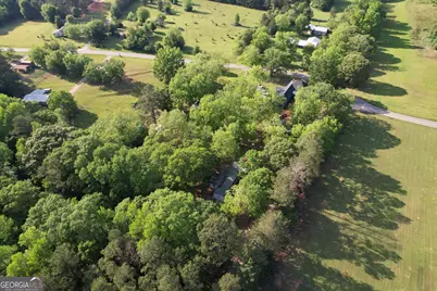 215 Brown Springs Road, Milner, GA 30257 - Photo 87