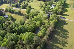 215 Brown Springs Rd, Milner, GA 30257 - Photo 87