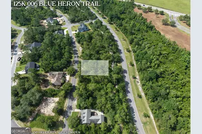 Lot 6 Blue Heron Trail, Waverly, GA 31565 - Photo 3