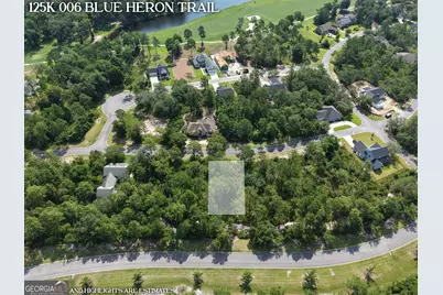 Lot 6 Blue Heron Trail, Waverly, GA 31565 - Photo 5