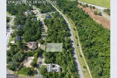 Lot 7 Blue Heron Trail, Waverly, GA 31565 - Photo 3