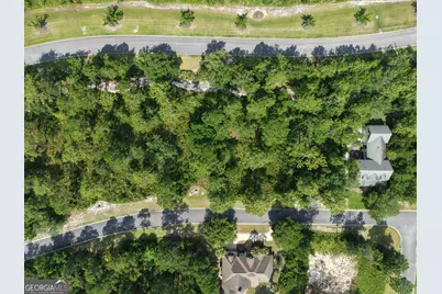 Lot 7 Blue Heron Trail, Waverly, GA 31565 - Photo 7