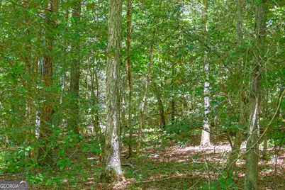 232 Crane Road, Cochran, GA 31014 - Photo 7