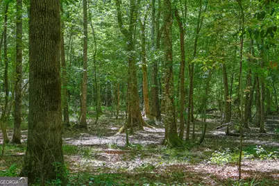 232 Crane Road, Cochran, GA 31014 - Photo 13