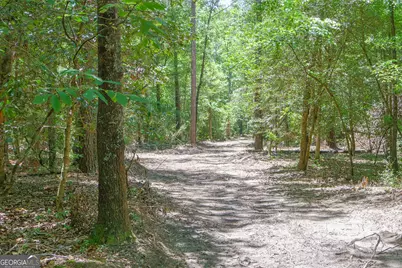 232 Crane Road, Cochran, GA 31014 - Photo 3