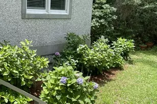 17 Boundary Ln, Saint Simons, GA 31522 - Photo 7