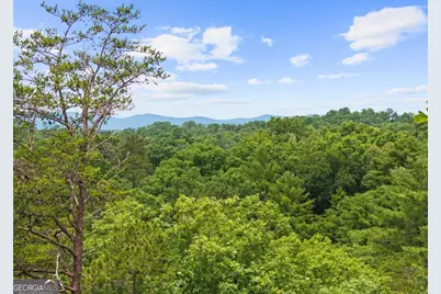 280 Palmetto Drive, Ellijay, GA 30540 - Photo 11