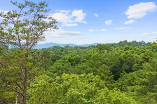 280 Palmetto Dr, Ellijay, GA 30540 - Photo 11