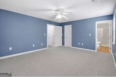 267 Joe Cox Road, Sharpsburg, GA 30277 - Photo 27