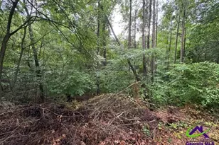 176 Waters Pointe, Lizella, GA 31052 - Photo 1