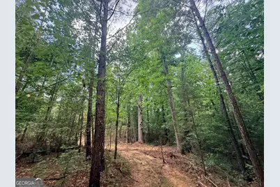 2787 Cedar Creek Rd, Elberton, GA 30635 - Photo 71