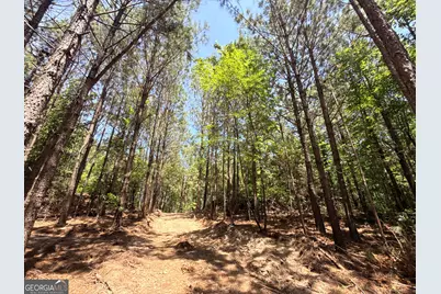 2787 Cedar Creek Rd, Elberton, GA 30635 - Photo 43