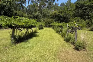 1968 Old Normantown Rd, Vidalia, GA 30474 - Photo 27