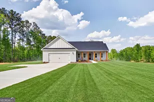 4680 Hollingsworth Ferry Rd, Franklin, GA 30217 - Photo 3