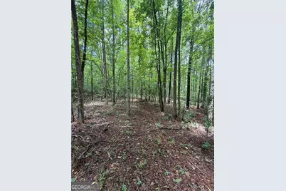8915 Cedar Grove Road, Fairburn, GA 30213 - Photo 3