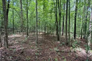 8915 Cedar Grove Rd, Fairburn, GA 30213 - Photo 3