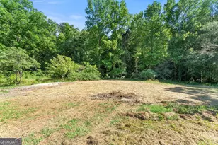 638 Hazel Creek Rd, Mount Airy, GA 30563 - Photo 39
