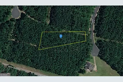 1110 Flora Place, Townsend, GA 31331 - Photo 1