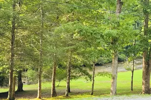 603 Ashley Dr, Ellijay, GA 30540 - Photo 3
