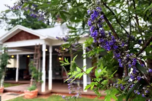 79 Georgia Ave, Commerce, GA 30529 - Photo 27