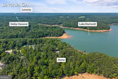 244 Lake View Court, Lavonia, GA 30553 - Photo 53