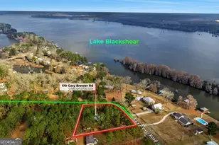 170 Gary Brewer Rd, Cobb, GA 31735 - Photo 49