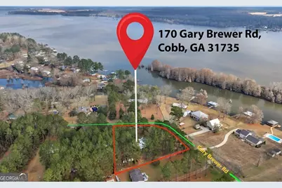 170 Gary Brewer Road, Cobb, GA 31735 - Photo 45