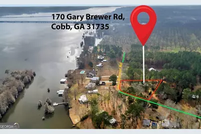 170 Gary Brewer Road, Cobb, GA 31735 - Photo 47