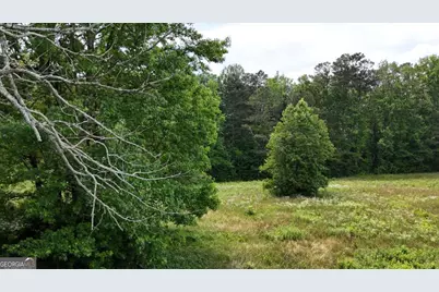 00001 Melear Road, Bowdon, GA 30108 - Photo 29