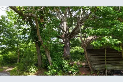00001 Melear Road, Bowdon, GA 30108 - Photo 31