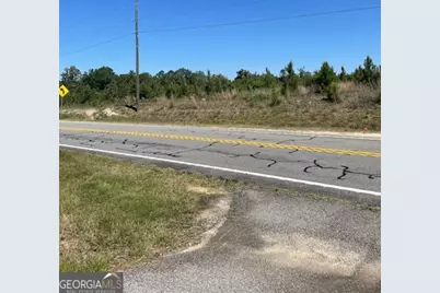 0 Abbeville Highway, Eastman, GA 31023 - Photo 5