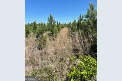 0 Abbeville Highway, Eastman, GA 31023 - Photo 3