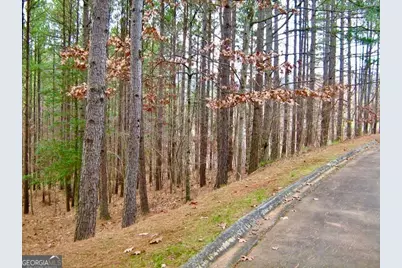 0 Golden Delicious Road, Clarkesville, GA 30523 - Photo 5