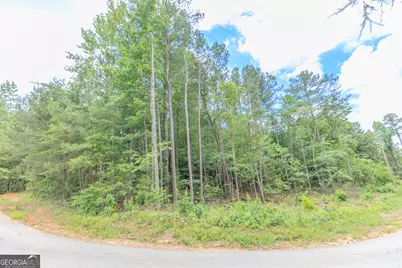 0 Wallaceville Cemetery Road, Chickamauga, GA 30700 - Photo 3