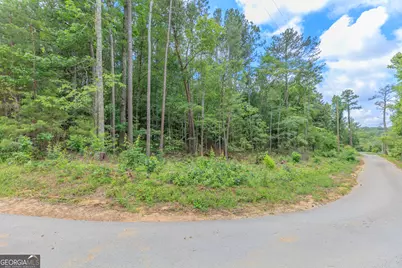 0 Wallaceville Cemetery Road, Chickamauga, GA 30700 - Photo 1