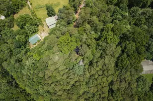 190 Laurel Crossing, Blue Ridge, GA 30513 - Photo 29