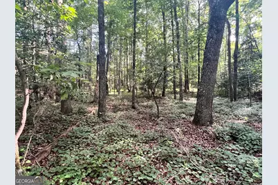 0 Craft Ferry Drive, Elberton, GA 30635 - Photo 7