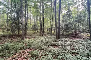 0 Craft Ferry Dr, Elberton, GA 30635 - Photo 1