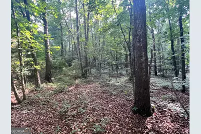 0 Craft Ferry Drive, Elberton, GA 30635 - Photo 3