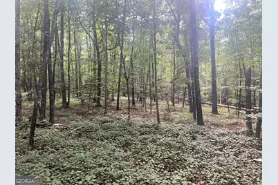 0 Craft Ferry Drive, Elberton, GA 30635 - Photo 5