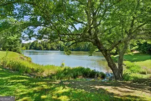 980 Woodbrier, Sautee Nacoochee, GA 30571 - Photo 65