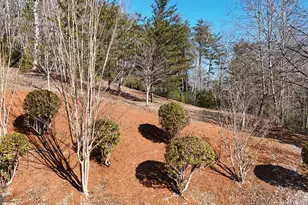 120 Ridgeland, Sautee Nacoochee, GA 30571 - Photo 65