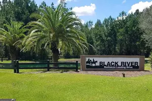 415 Lake Deborah Dr, Folkston, GA 31537 - Photo 1