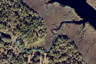 Lot 50 Matthews Launch, White Oak, GA 31568 - Photo 1