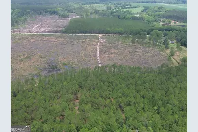01 Bay Branch Church Road, Claxton, GA 30417 - Photo 3